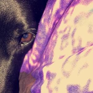 Meet your Posher, Jayelyn